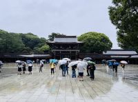 Tag 3 - Meiji-Schrein