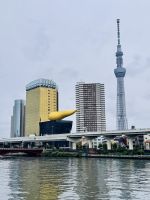 Tag 3 - Skyline Tokio 