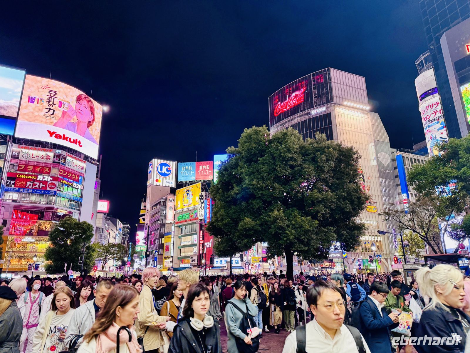 Tag 3 - Shibuya-Kreuzung