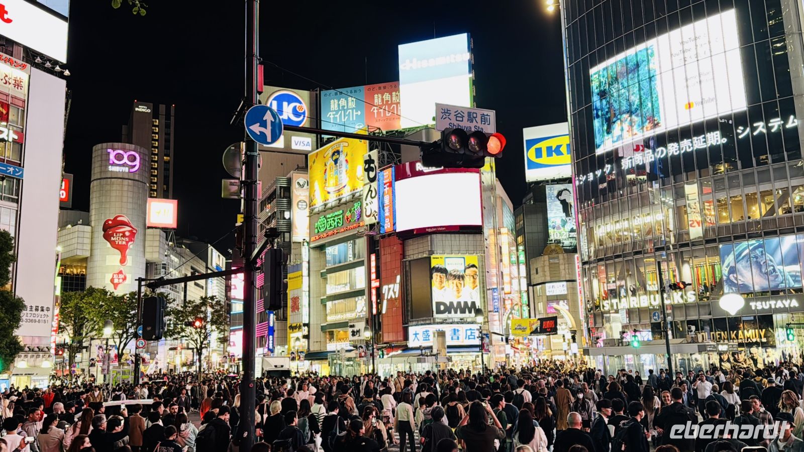 Tag 3 - Shibuya-Kreuzung