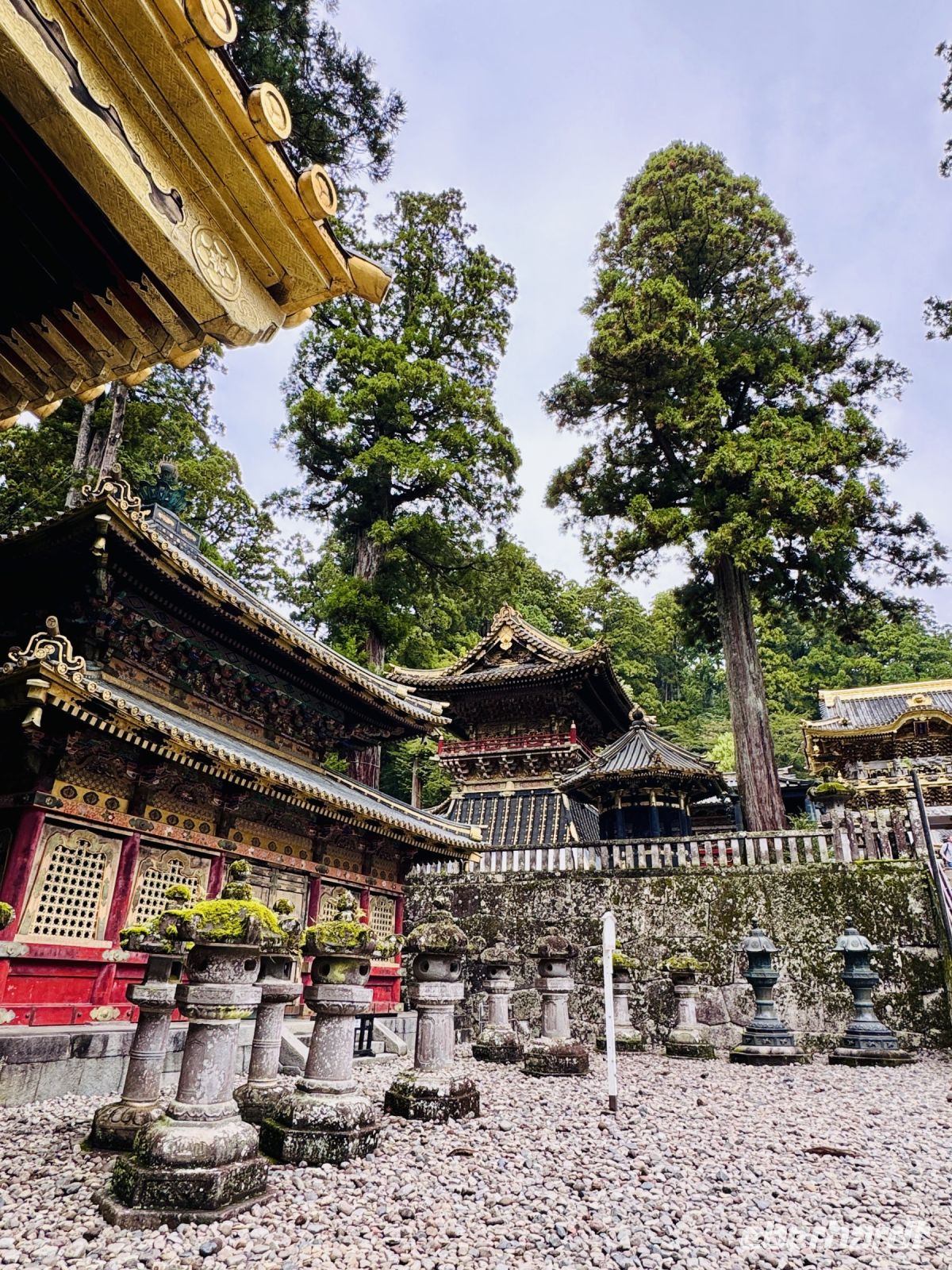 Tag 4 - Am Toshogu-Schrein