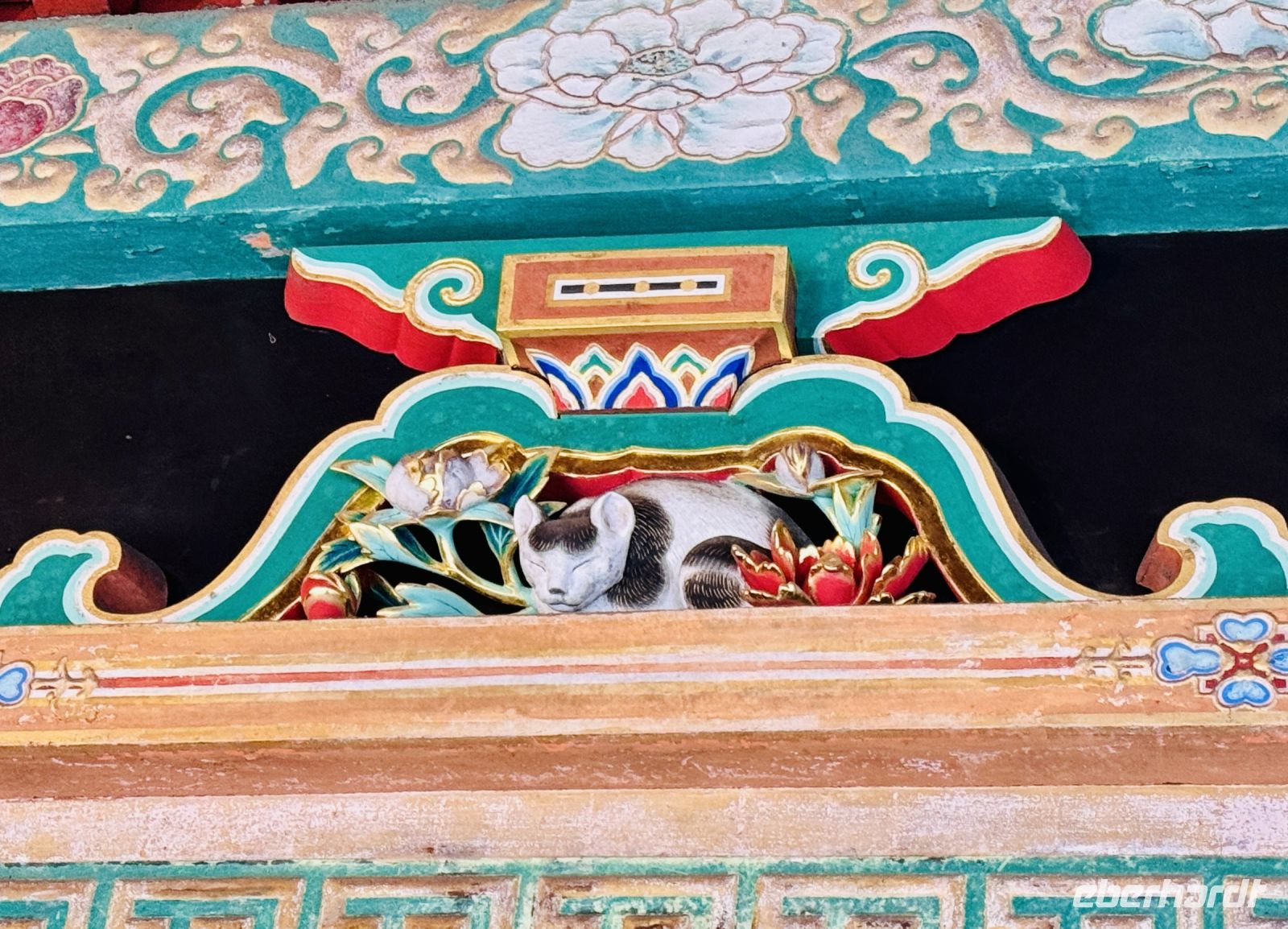 Tag 4 - Die schlafende Katze 