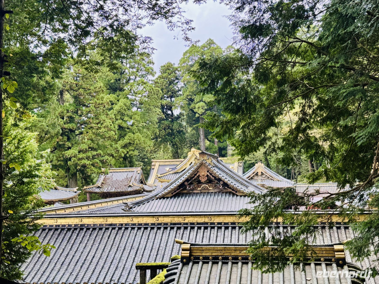 Tag 4 - Toshogu-Schrein