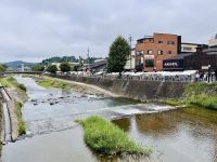 Tag 7 - Unser Ziel der Miyagawa Morgen Markt