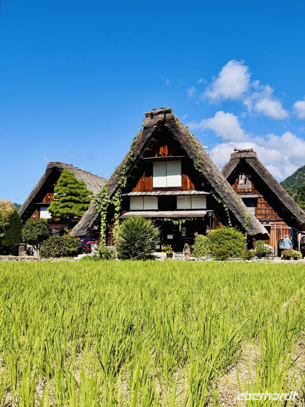 Tag 7 - Dorf Shirakawa-go Ogimach
