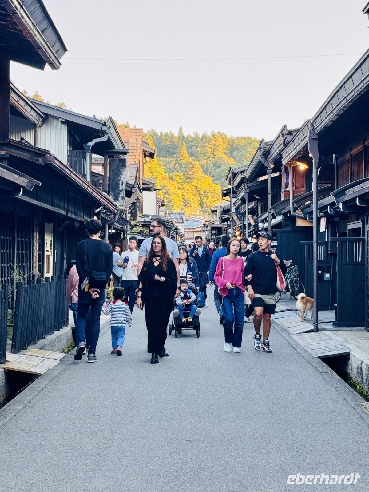 Tag 7 - Altstadt von Takayama 