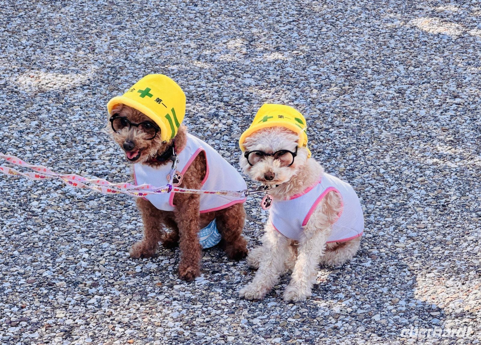 Tag 8 - Japanische Kuriositäten 