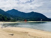 Tag 9 - Insel Miyajima