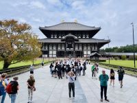 Tag 10 - Todai-ji Tempel 