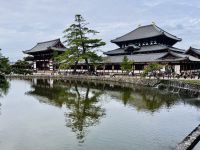 Tag 10 - Todai-ji Tempel 