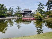 Tag 10 - Todai-ji Tempel 