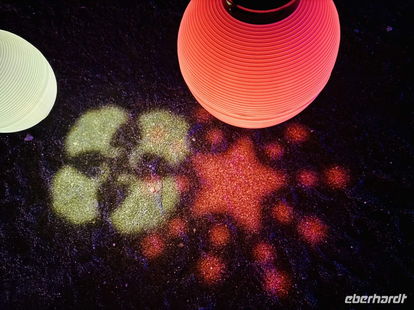 Tag 10 - Illumination am Nishi Hongwanji Tempel