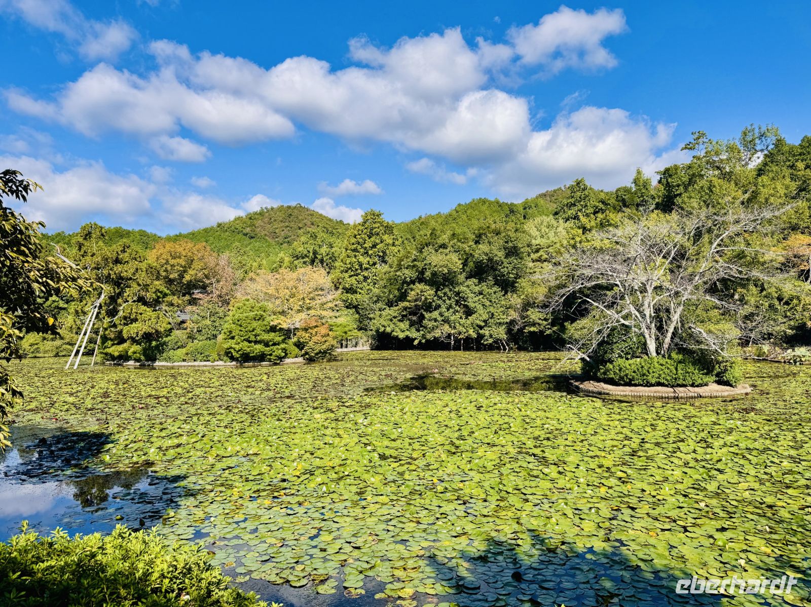 Tag 11 - Ryoanji-Tempelanlage