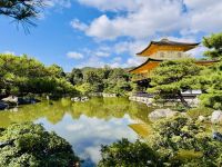 Tag 11 - Der Goldene Pavillon