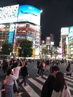 Shibuya Kreuzung