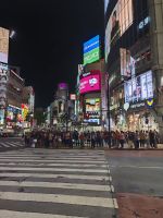 Shibuya Kreuzung