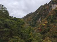 Kegon- Wasserfall Nikko