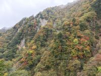 Kegon- Wasserfall Nikko