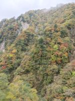 Kegon- Wasserfall Nikko
