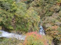 Kegon- Wasserfall Nikko