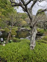 Hasedera-Tempel Kamakura