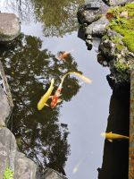 Hasedera-Tempel Kamakura