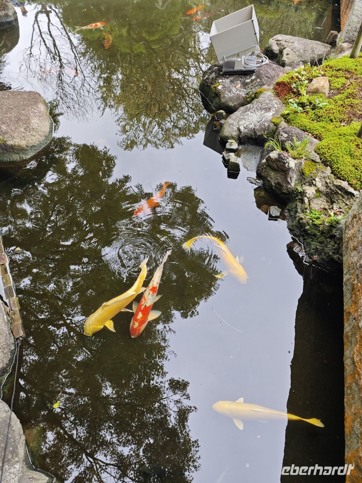 Hasedera-Tempel Kamakura