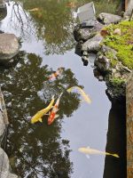 Hasedera-Tempel Kamakura