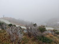 Seilbahnfahrt nach Owakudani