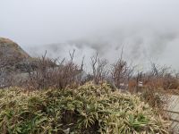 Schwelfel in Owakudani