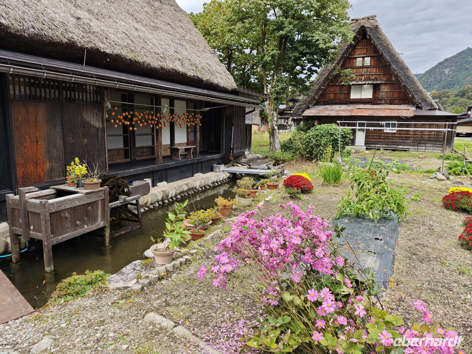 Traditionelles Dorfs Shirakawago