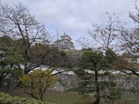 Die weiße Burg Himeji