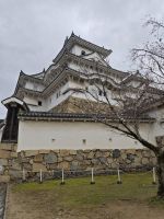 Die weiße Burg Himeji