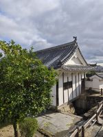 Die weiße Burg Himeji