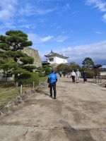 Die weiße Burg Himeji