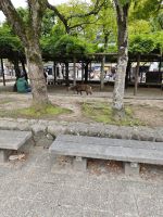 Ausflug auf die Insel Miyajima