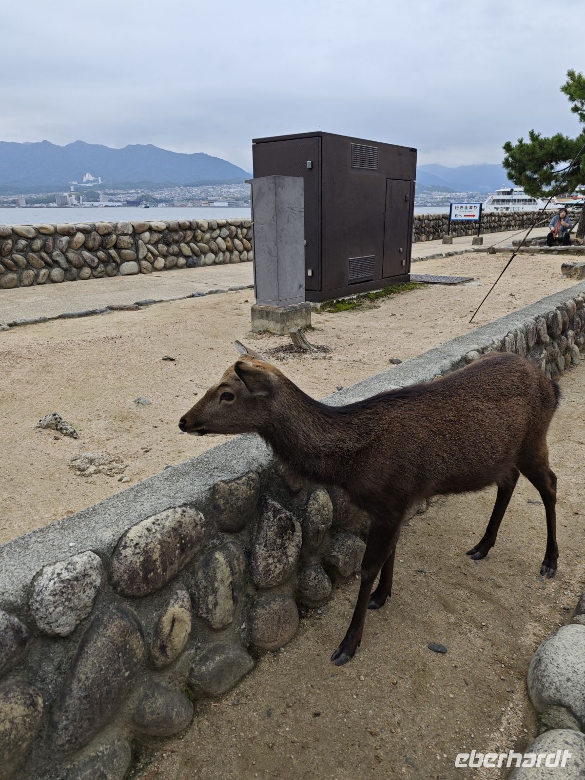 Ausflug auf die Insel Miyajima