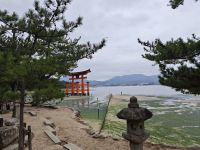 Ausflug auf die Insel Miyajima