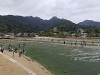 Ausflug auf die Insel Miyajima