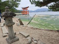 Shinto- Schrein von Itsukushima