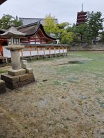 Shinto- Schrein von Itsukushima
