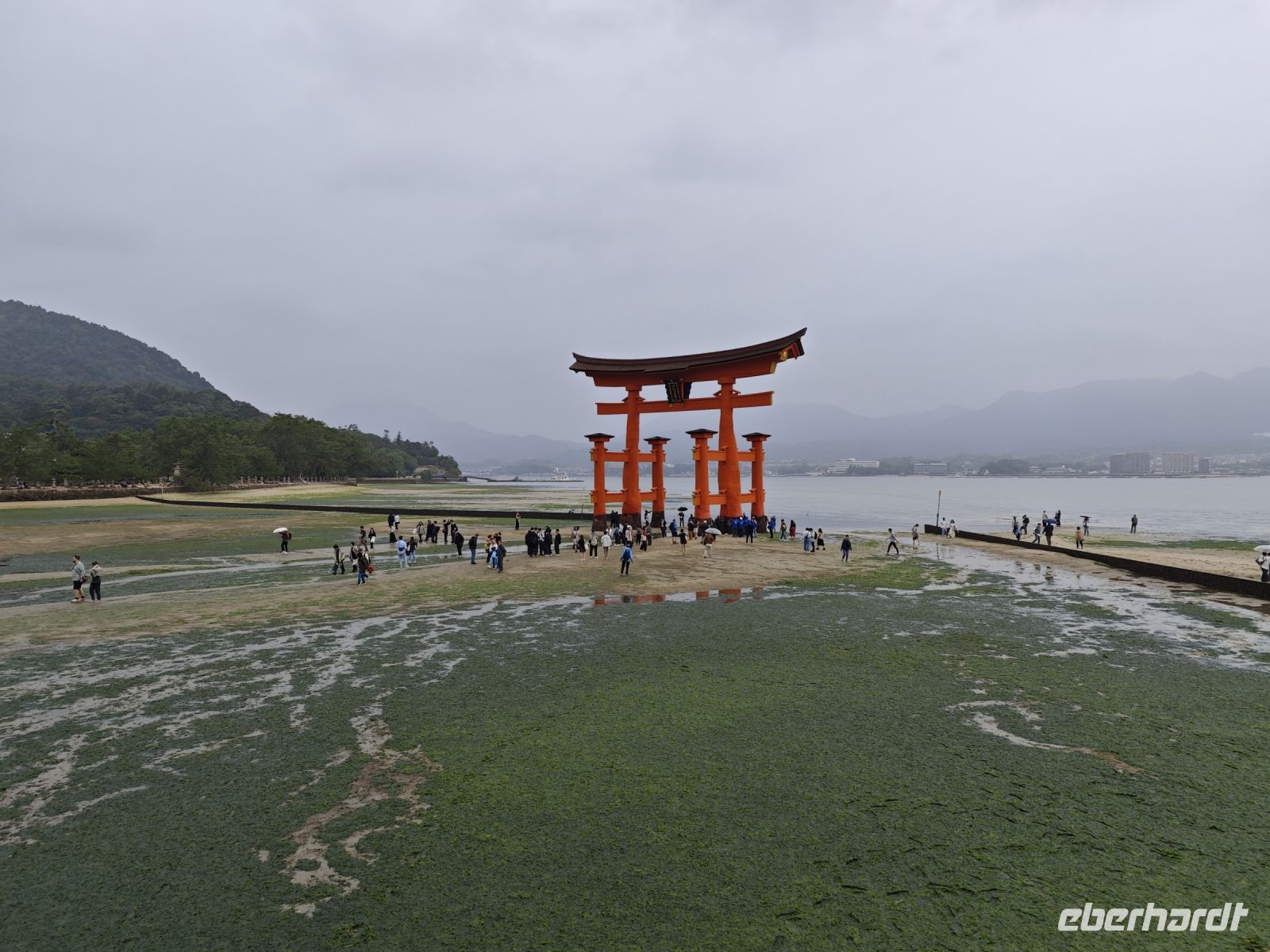 Ausflug auf die Insel Miyajima