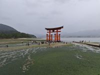Ausflug auf die Insel Miyajima