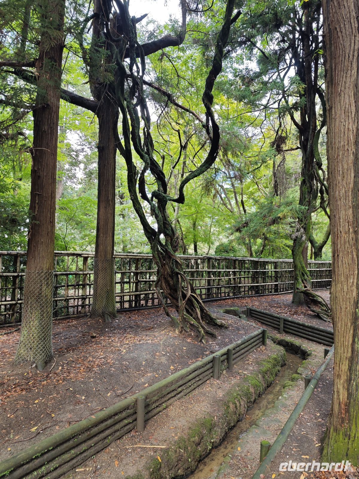 Tagesausflug nach Nara