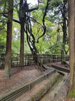 Tagesausflug nach Nara