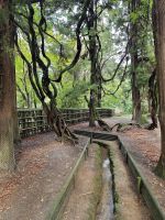 Tagesausflug nach Nara