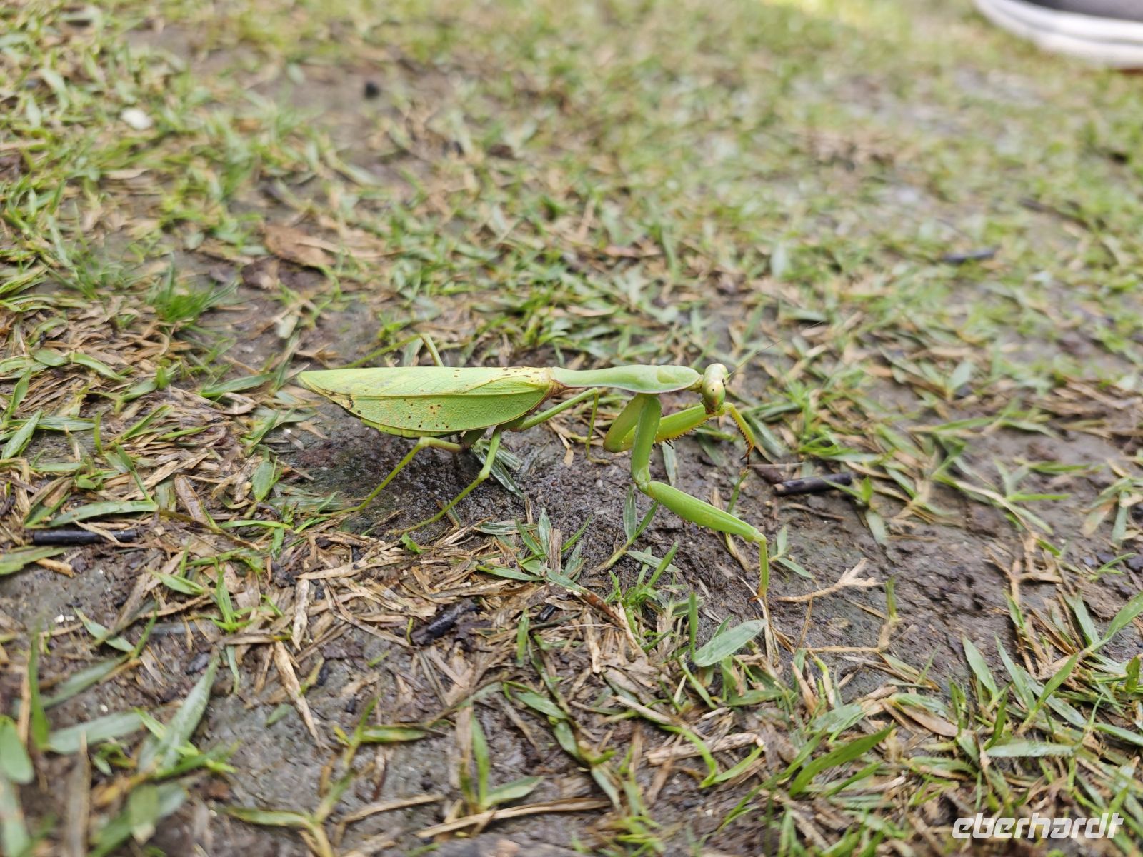Tagesausflug nach Nara