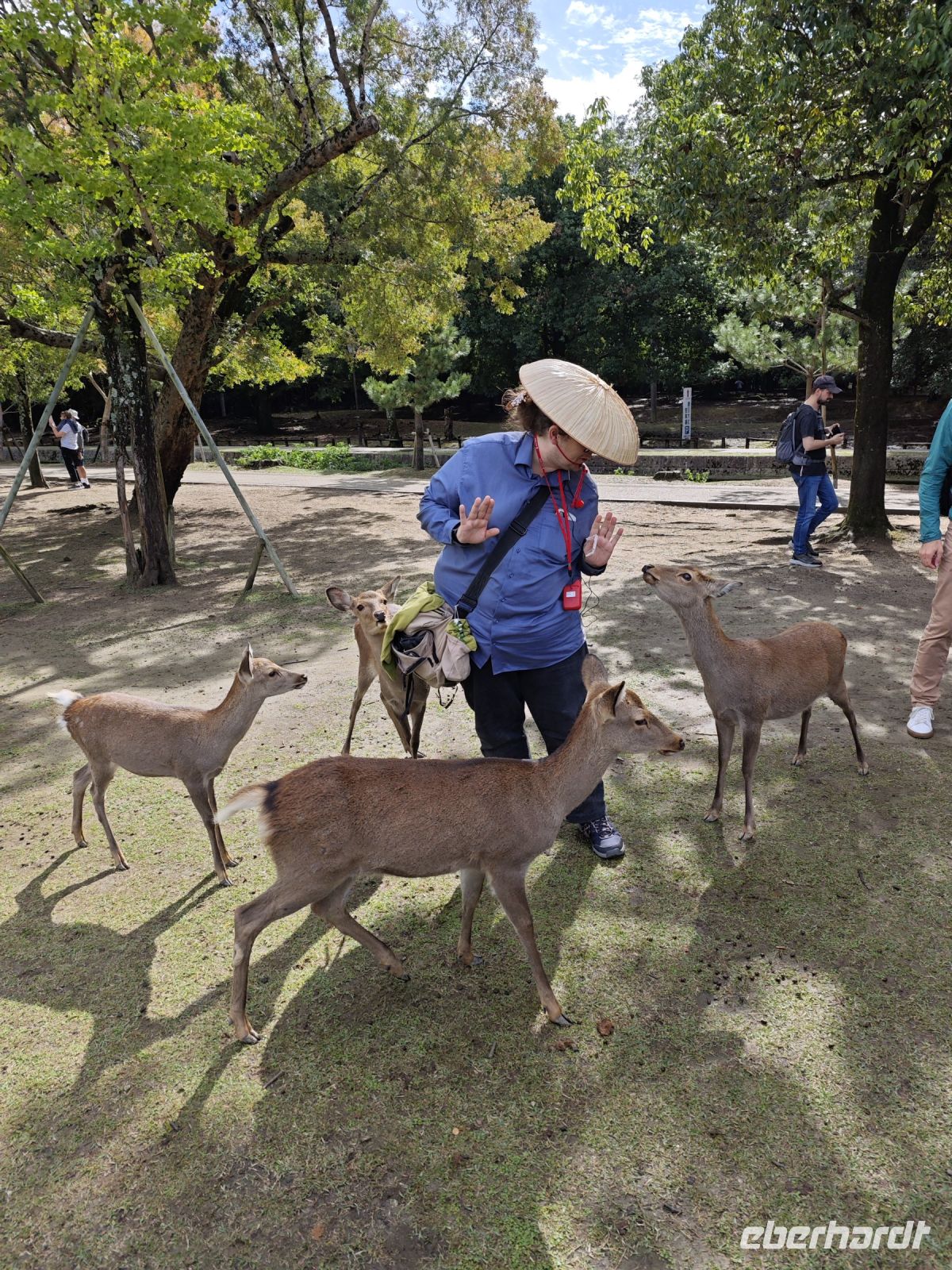 Tagesausflug nach Nara