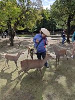 Tagesausflug nach Nara