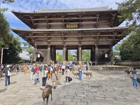 Todaiji-Tempel in Nara
